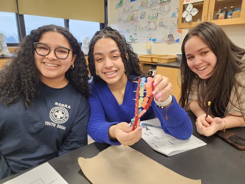 High School students created candy DNA models.