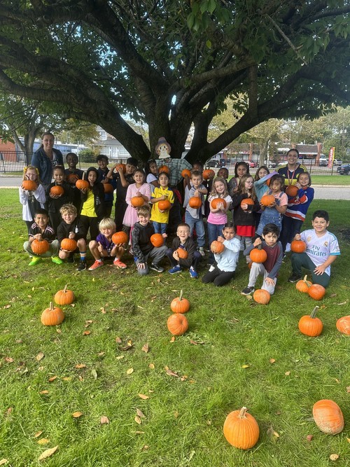 Fifth Avenue hosted a pumpkin patch.