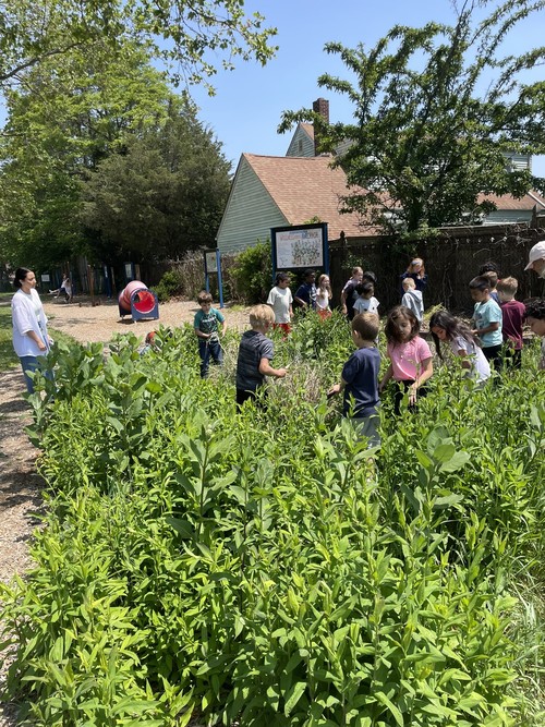 Fifth Avenue students learned about pollinator gardens.