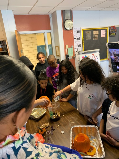 Middle School students used pumpkins to learn about systems.